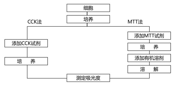ZP328CCK用.jpg