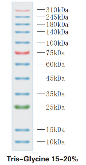 ZD115.jpg
