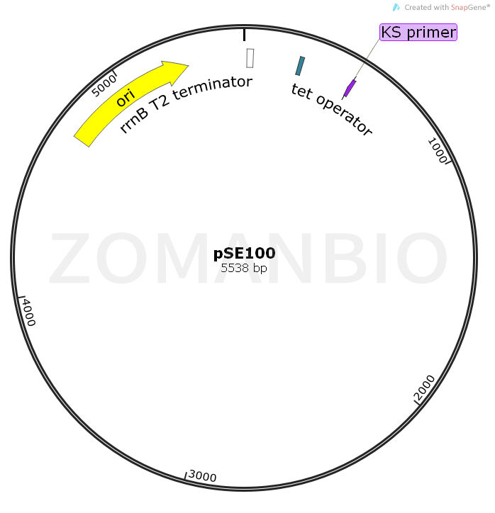 ZK1095pSE100.png