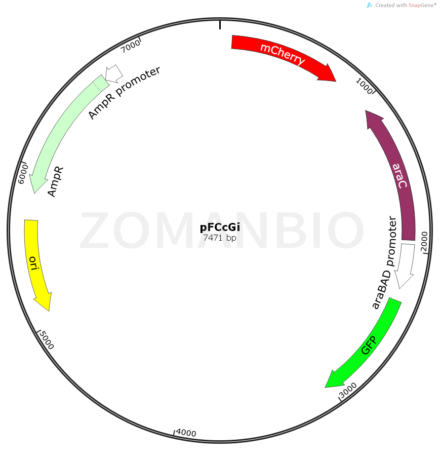 ZK2261pFCcGi.png