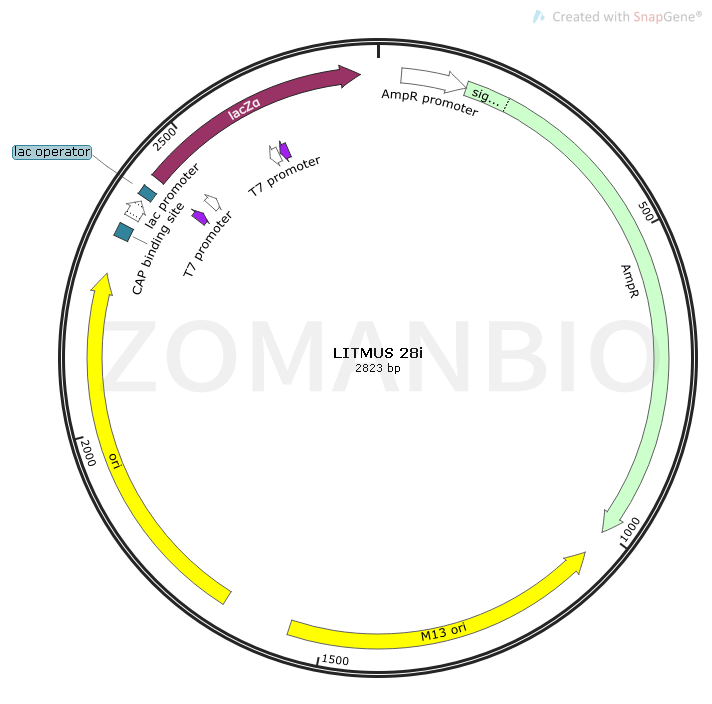 LITMUS 28i Map.png